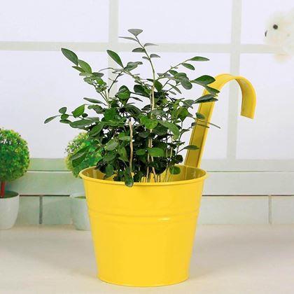 Obrazek z Wisząca doniczka na balkon -  żółta