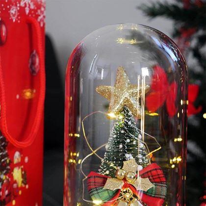 Obrazek z Świecąca choinka bożonarodzeniowa w szklanym wazonie w opakowaniu prezentowym