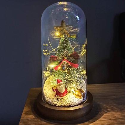 Obrazek z Świecąca choinka bożonarodzeniowa w szklanym wazonie w opakowaniu prezentowym