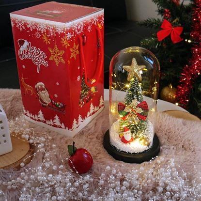 Obraz Świecąca choinka bożonarodzeniowa w szklanym wazonie w opakowaniu prezentowym