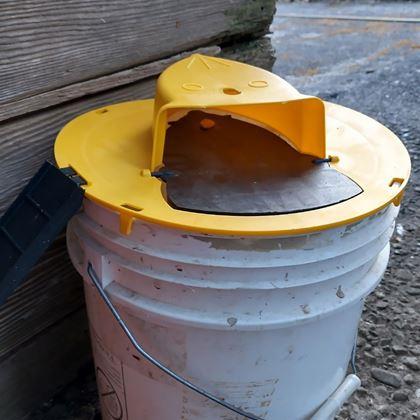 Obrazek z Pokrywa na wiadro z pułapką na myszy
