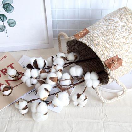 Obrazek z Sztuczna gałązka bawełny 50 cm