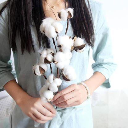 Obraz Sztuczna gałązka bawełny 50 cm