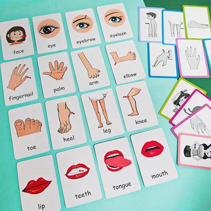 Obrazek z Zestaw 36 edukacyjnych fiszek w języku angielskim -  części ciała