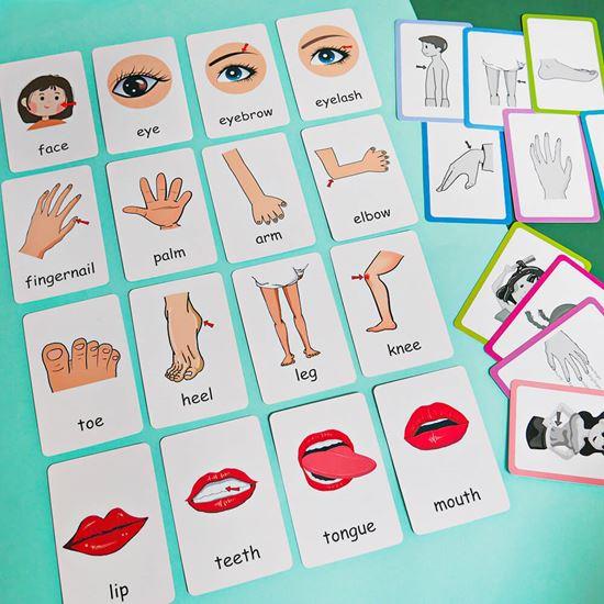Obrazek z Zestaw 36 edukacyjnych fiszek w języku angielskim -  części ciała