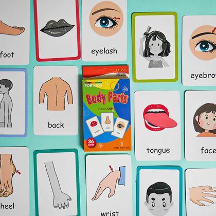 Obrazek z Zestaw 36 edukacyjnych fiszek w języku angielskim -  części ciała