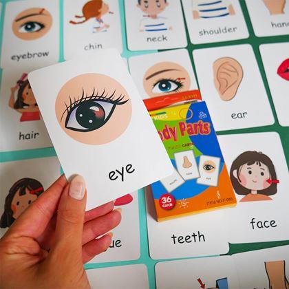 Obrazek z Zestaw 36 edukacyjnych fiszek w języku angielskim -  części ciała