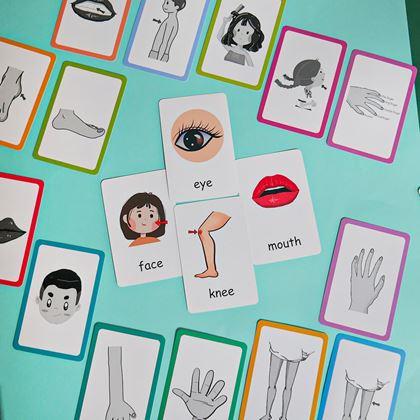 Obrazek z Zestaw 36 edukacyjnych fiszek w języku angielskim -  części ciała