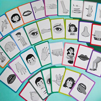 Obrazek z Zestaw 36 edukacyjnych fiszek w języku angielskim -  części ciała