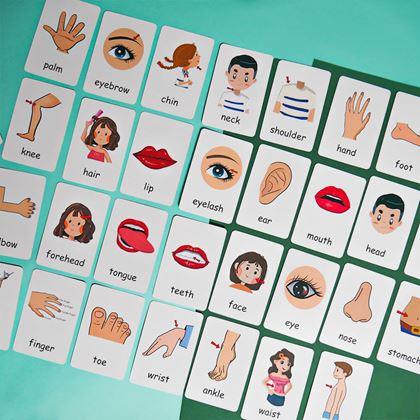 Obrazek z Zestaw 36 edukacyjnych fiszek w języku angielskim -  części ciała