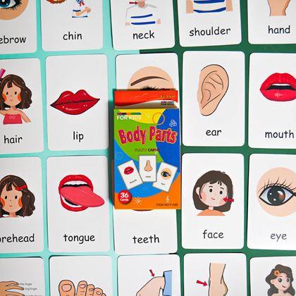 Obrazek z Zestaw 36 edukacyjnych fiszek w języku angielskim -  części ciała