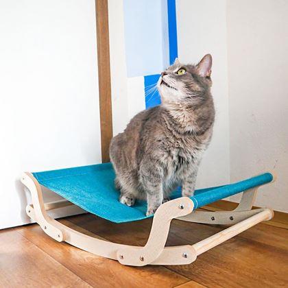 Obrazek z Huśtawka dla kota