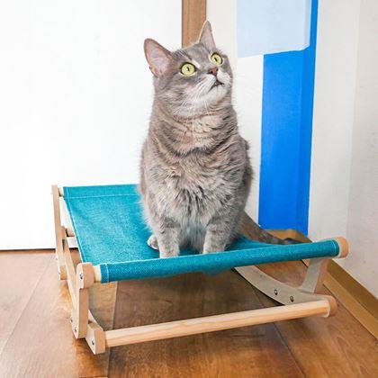 Obrazek z Huśtawka dla kota