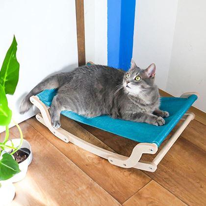 Obrazek z Huśtawka dla kota