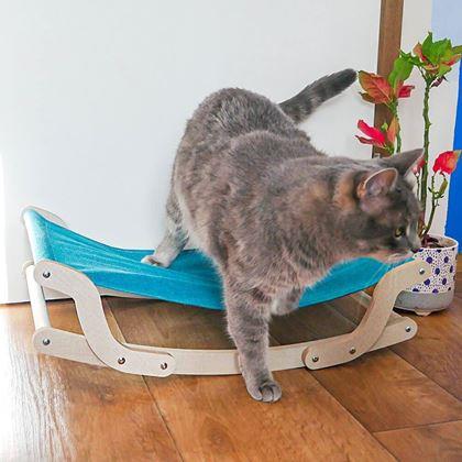 Obrazek z Huśtawka dla kota