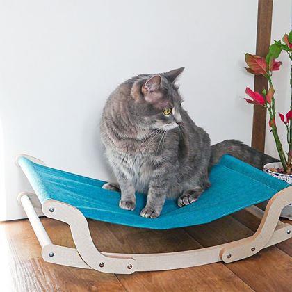 Obrazek z Huśtawka dla kota