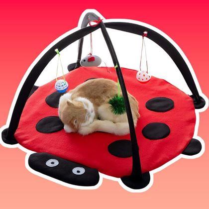 Obrazek z Mata do zabawy dla kotów