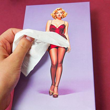 Obrazek z Chusteczki papierowe w pudełku - dama w sukni