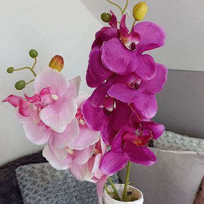 Obraz Sztuczne kwiaty orchidea