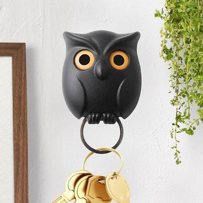 Obrazek z Magnetyczny uchwyt na klucze  -  czarna sowa