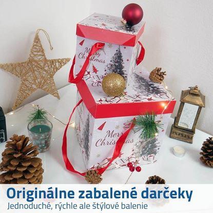 Obraz Pudełko prezentowe 22 cm 