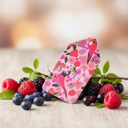 Obrazek z Aromat do samochodu - owoce leśne