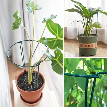 Obrazek z Podpora roślin metalowa 2 szt. 35 cm