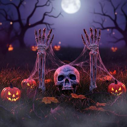 Obrazek z Dekoracje ogrodowe - szkielet