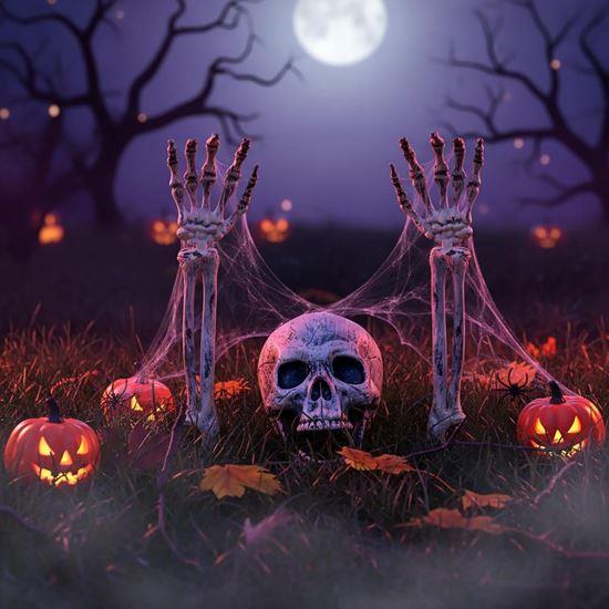 Obrazek z Dekoracje ogrodowe - szkielet