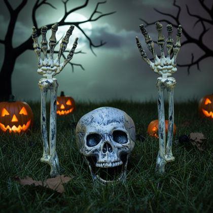 Obrazek z Dekoracje ogrodowe - szkielet