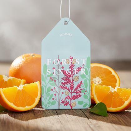 Obrazek z Odświeżacz do samochodu - pomarańcza