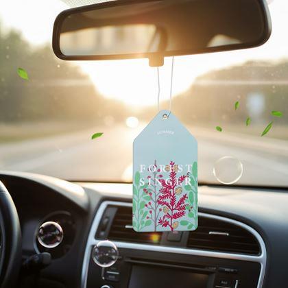 Obrazek z Aromat do samochodu - pomarańcza