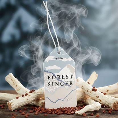 Obraz Odświeżacz do samochodu