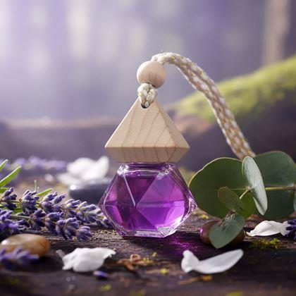 Obrazek z Aromatická buteleczka do auta - purpurowy