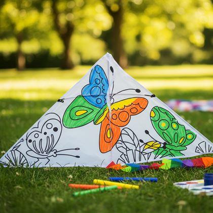 Obrazek z Latawiec do pokolorowania  - motylki