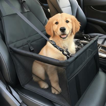 Obraz Siedzisko samochodowe dla zwierzaków