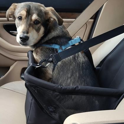 Obrazek z Siedzisko samochodowe dla zwierzaków