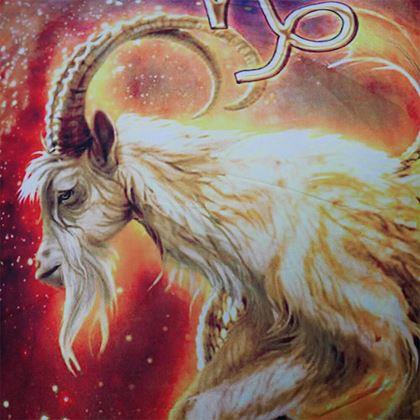 Obrazek z Poszewka na poduszkę znak zodiaku - Koziorożec