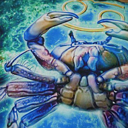 Obrazek z Poszewka na poduszkę znak zodiaku - rak