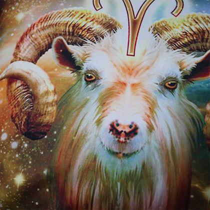 Obrazek z Poszewka na poduszkę znak zodiaku - baran