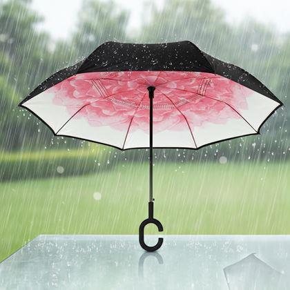 Obrazek z Odwrócony parasol  -  kwiat