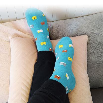 Obraz Skarpetki z kotkami