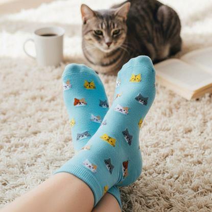 Obraz Skarpetki z kotkami