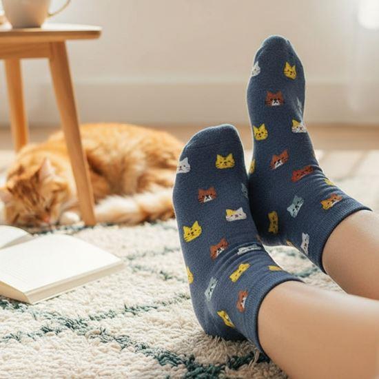 Obrazek z Skarpetki z kotkami - szare