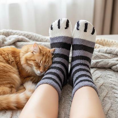 Obraz Skarpetki łapki