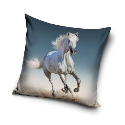 Obraz Poszewka na poduszkę - Gniady konik