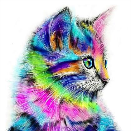 Obrazek z Haft diamentowy basci  -  kotek