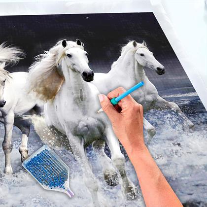 Obrazek z Haft diamentowy basci  -  konie