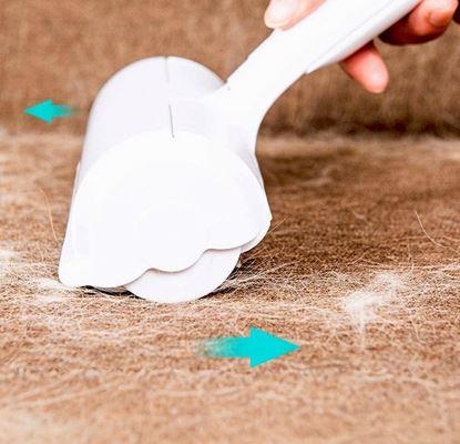 Obraz Przyrząd do usuwania sierści 