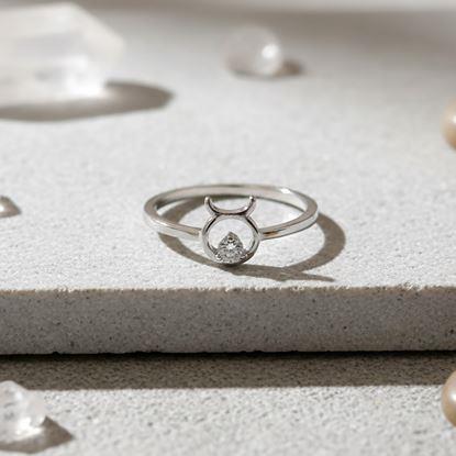 Obraz Regulowany pierścionek zodiakalny